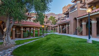 Courtyard with lush landscape